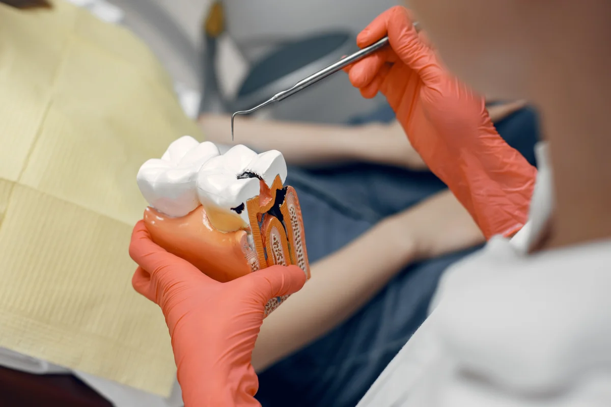 Endodoncija